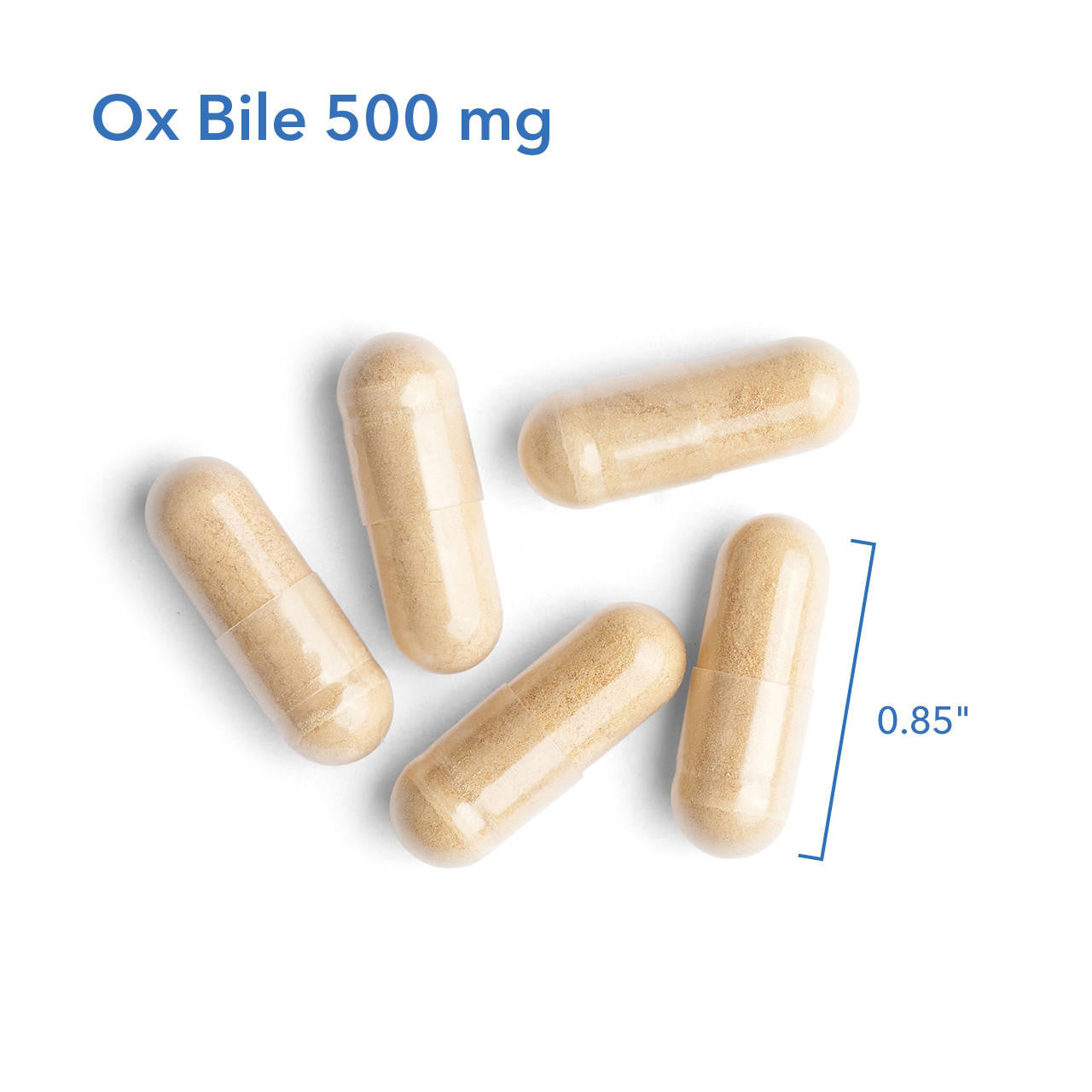 Ox Bile 500 mg (RS)